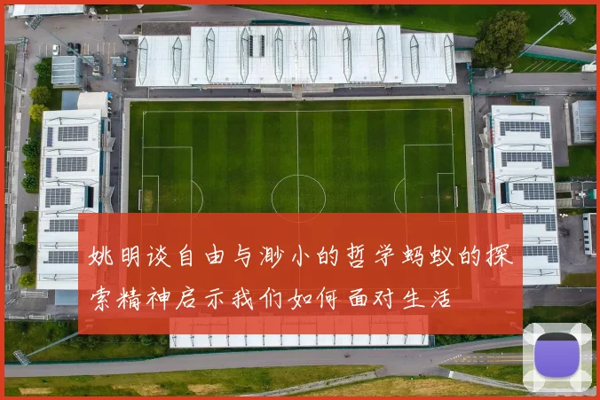 姚明谈自由与渺小的哲学蚂蚁的探索精神启示我们如何面对生活