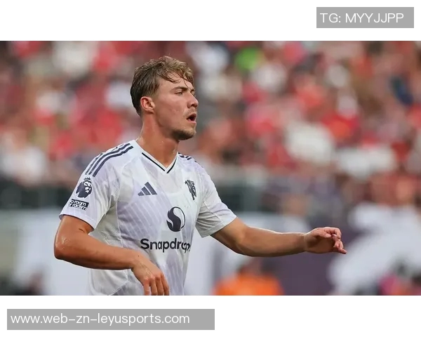 奥卡福进球瞬间意外出现沙滩球引发热刺球迷热议 奥卡福进球瞬间意外出现沙滩球引发热刺球迷热议