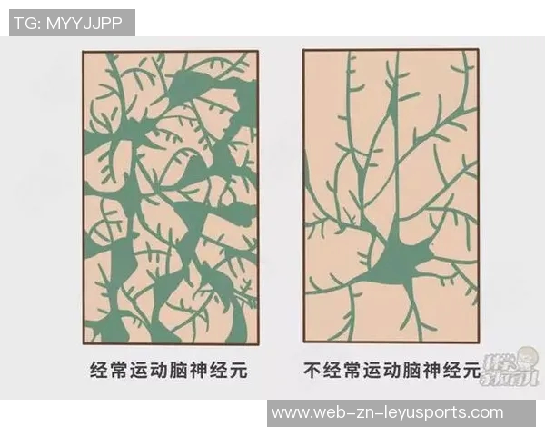 文班谈身体发育对自己节奏的影响现在能更好地发挥潜力与能力 文班谈身体发育对自己节奏的影响现在能更好地发挥潜力与能力